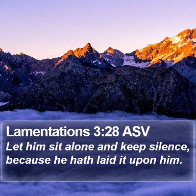 Lamentations 3:28 ASV Bible Verse Image