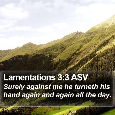 Lamentations 3:3 ASV Bible Verse Image