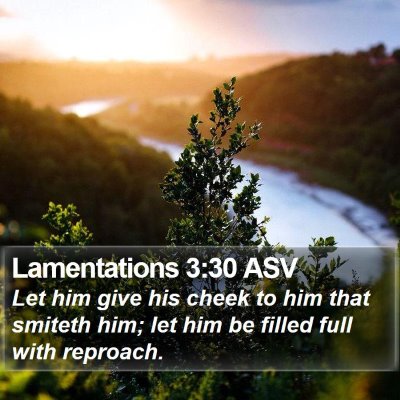 Lamentations 3:30 ASV Bible Verse Image