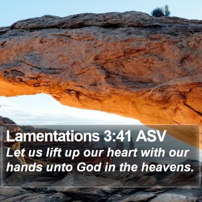 Lamentations 3:41 ASV Bible Verse Image