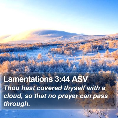Lamentations 3:44 ASV Bible Verse Image