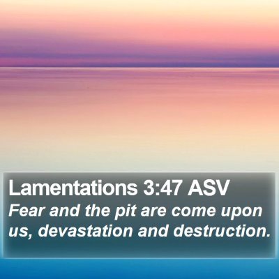 Lamentations 3:47 ASV Bible Verse Image