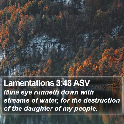 Lamentations 3:48 ASV Bible Verse Image