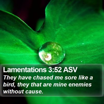 Lamentations 3:52 ASV Bible Verse Image