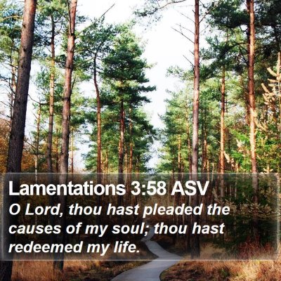 Lamentations 3:58 ASV Bible Verse Image
