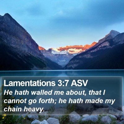 Lamentations 3:7 ASV Bible Verse Image