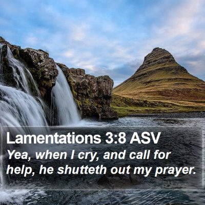 Lamentations 3:8 ASV Bible Verse Image