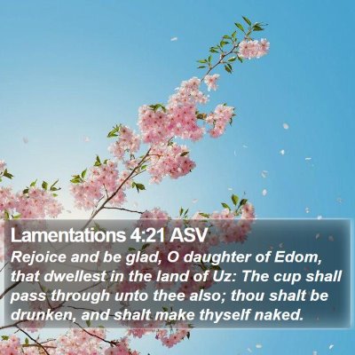 Lamentations 4:21 ASV Bible Verse Image