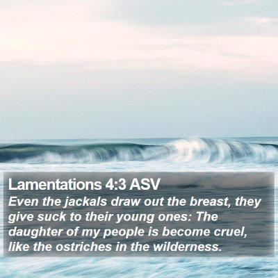 Lamentations 4:3 ASV Bible Verse Image