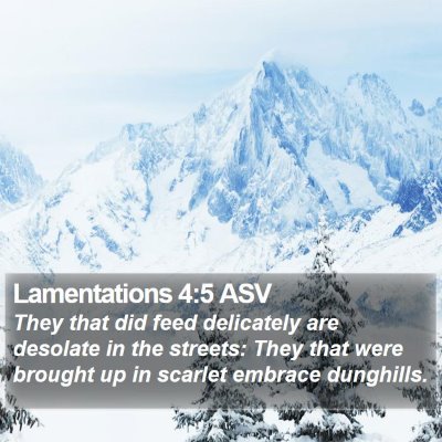Lamentations 4:5 ASV Bible Verse Image