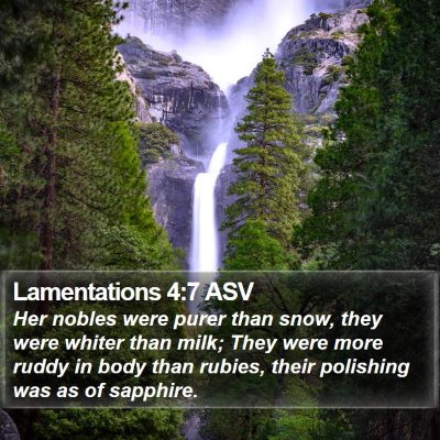 Lamentations 4:7 ASV Bible Verse Image