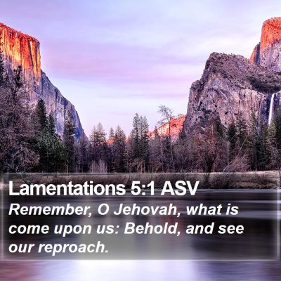 Lamentations 5:1 ASV Bible Verse Image