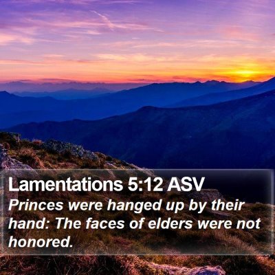 Lamentations 5:12 ASV Bible Verse Image