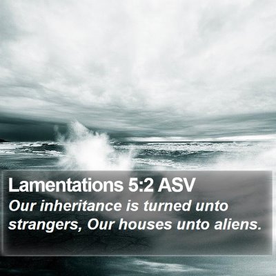 Lamentations 5:2 ASV Bible Verse Image