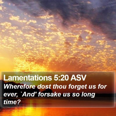 Lamentations 5:20 ASV Bible Verse Image