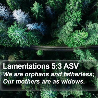 Lamentations 5:3 ASV Bible Verse Image