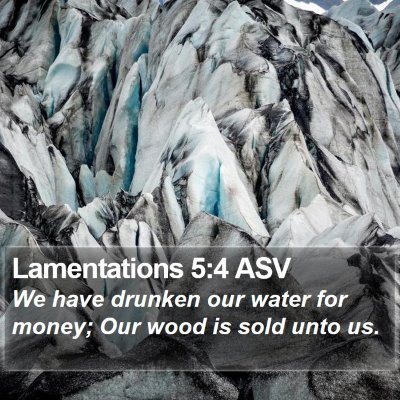 Lamentations 5:4 ASV Bible Verse Image