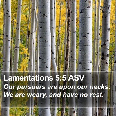 Lamentations 5:5 ASV Bible Verse Image
