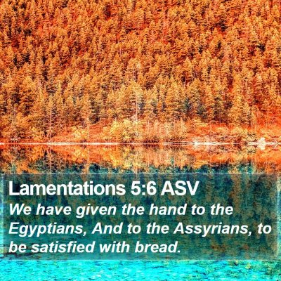 Lamentations 5:6 ASV Bible Verse Image