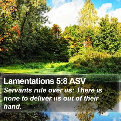Lamentations 5:8 ASV Bible Verse Image