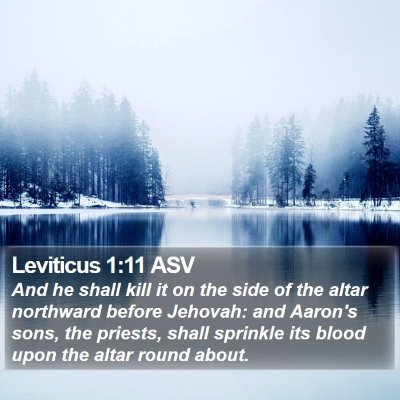 Leviticus 1:11 ASV Bible Verse Image