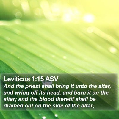 Leviticus 1:15 ASV Bible Verse Image