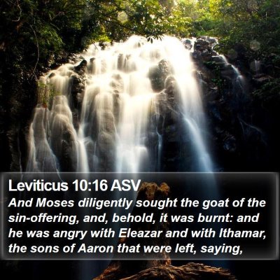 Leviticus 10:16 ASV Bible Verse Image