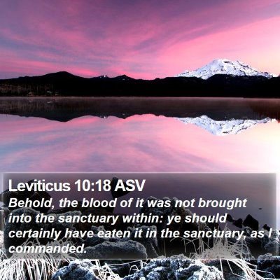 Leviticus 10:18 ASV Bible Verse Image