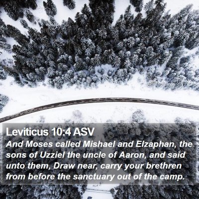 Leviticus 10:4 ASV Bible Verse Image