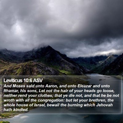 Leviticus 10:6 ASV Bible Verse Image