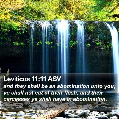 Leviticus 11:11 ASV Bible Verse Image