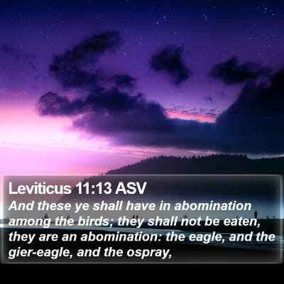 Leviticus 11:13 ASV Bible Verse Image