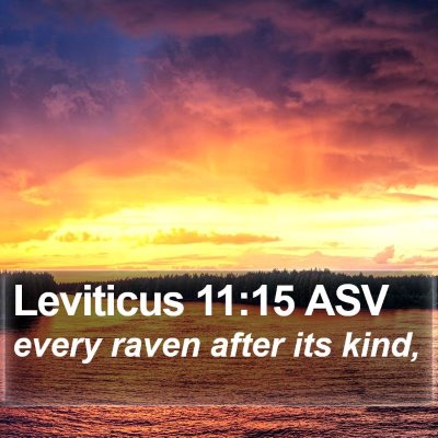 Leviticus 11:15 ASV Bible Verse Image