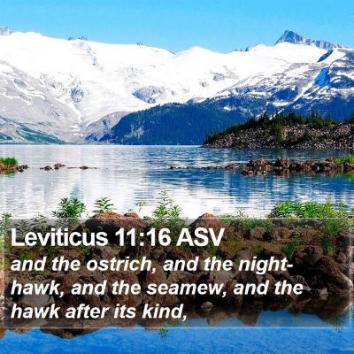Leviticus 11:16 ASV Bible Verse Image