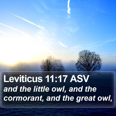 Leviticus 11:17 ASV Bible Verse Image