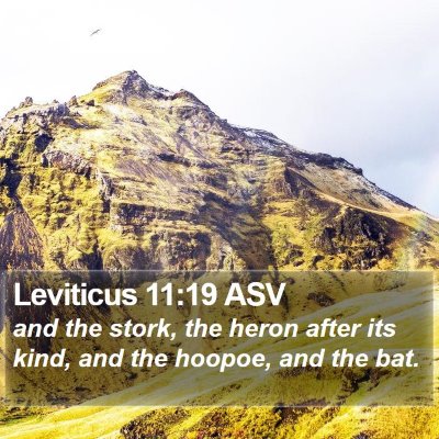 Leviticus 11:19 ASV Bible Verse Image