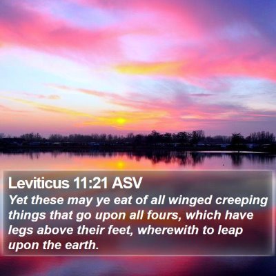 Leviticus 11:21 ASV Bible Verse Image