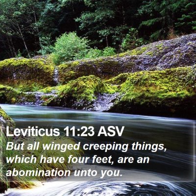 Leviticus 11:23 ASV Bible Verse Image