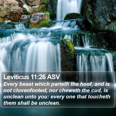 Leviticus 11:26 ASV Bible Verse Image