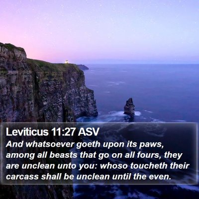 Leviticus 11:27 ASV Bible Verse Image