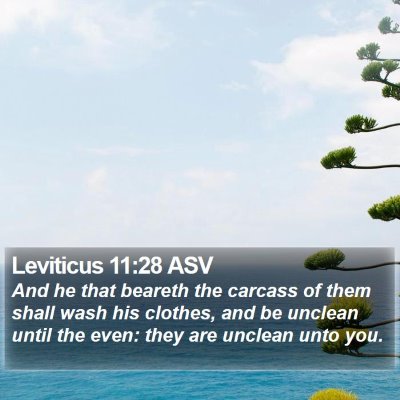 Leviticus 11:28 ASV Bible Verse Image