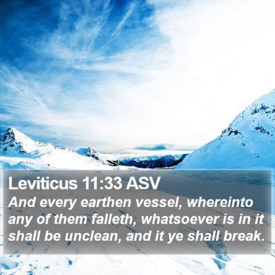 Leviticus 11:33 ASV Bible Verse Image