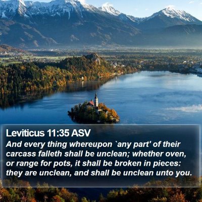 Leviticus 11:35 ASV Bible Verse Image