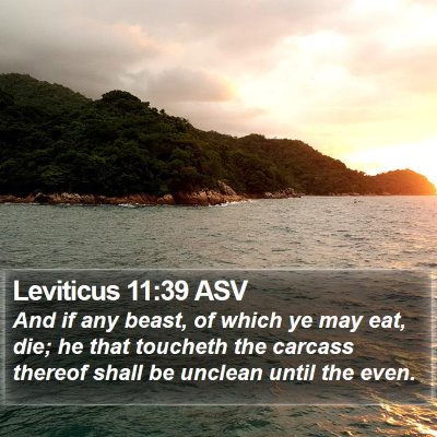 Leviticus 11:39 ASV Bible Verse Image