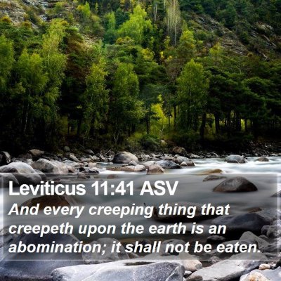 Leviticus 11:41 ASV Bible Verse Image