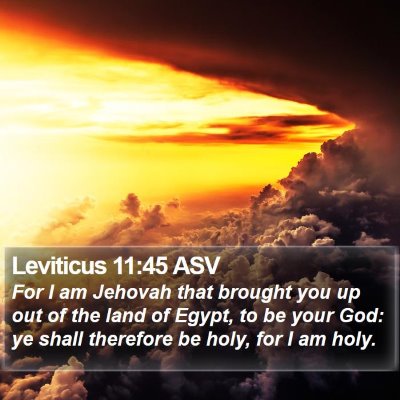 Leviticus 11:45 ASV Bible Verse Image