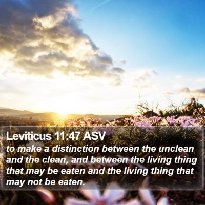 Leviticus 11:47 ASV Bible Verse Image