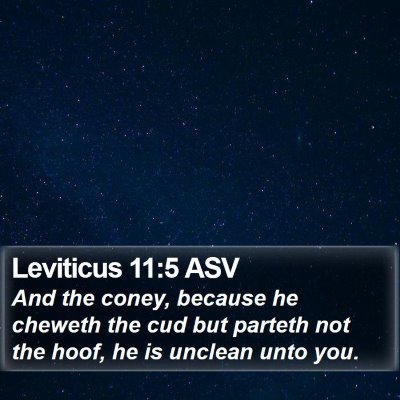 Leviticus 11:5 ASV Bible Verse Image
