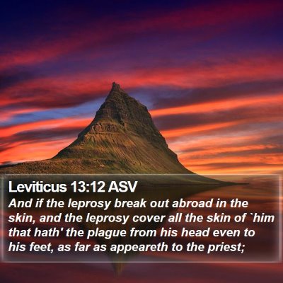 Leviticus 13:12 ASV Bible Verse Image