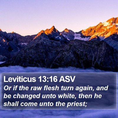 Leviticus 13:16 ASV Bible Verse Image
